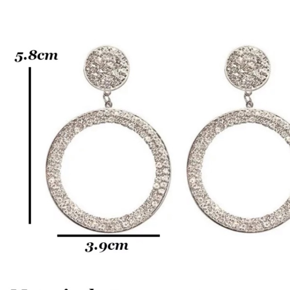 Silver Tone Rhinestone Circle Earrings - Picture 6 of 6